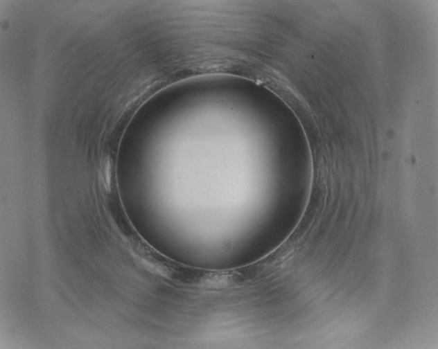 X0000072490076200608041426