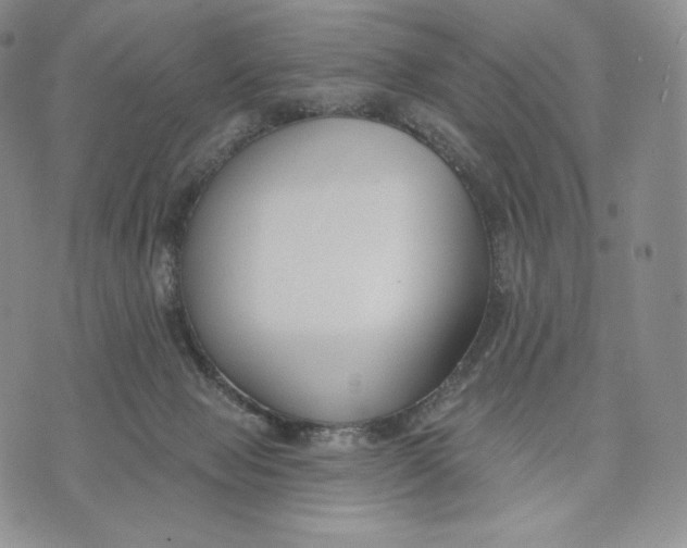 X0000072490077200608041426