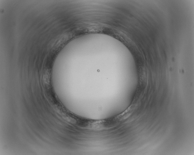 X0000072490078200608041426