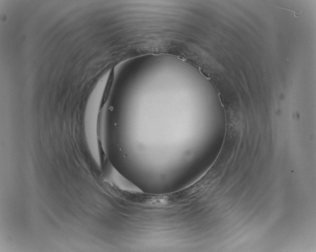 X0000072490080200608041426