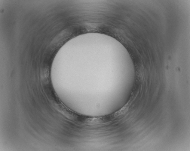 X0000072490082200608041427