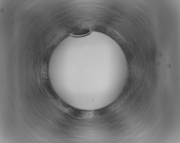 X0000072490083200608041427