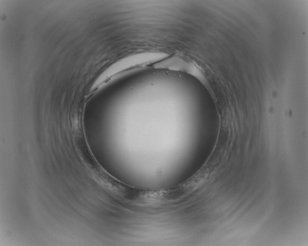 X0000072490084200608041427