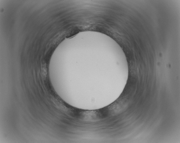 X0000072490085200608041427