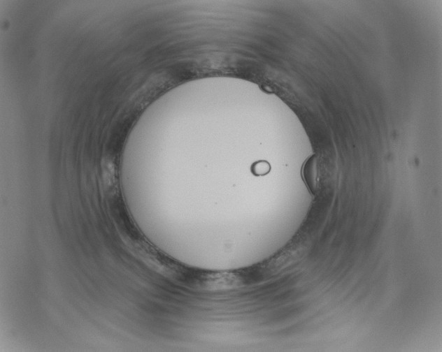 X0000072490087200608041427