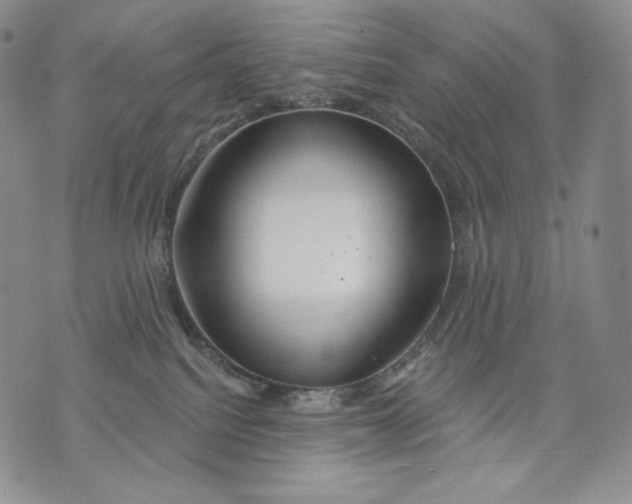 X0000072490088200608041427