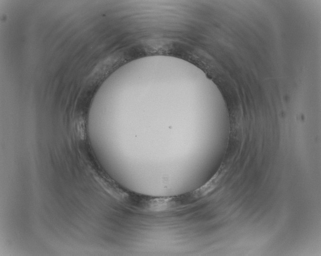 X0000072490090200608041427