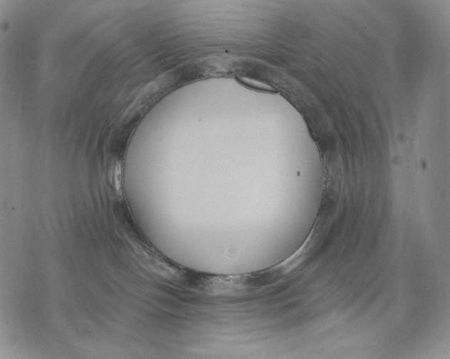 X0000072490094200608041427