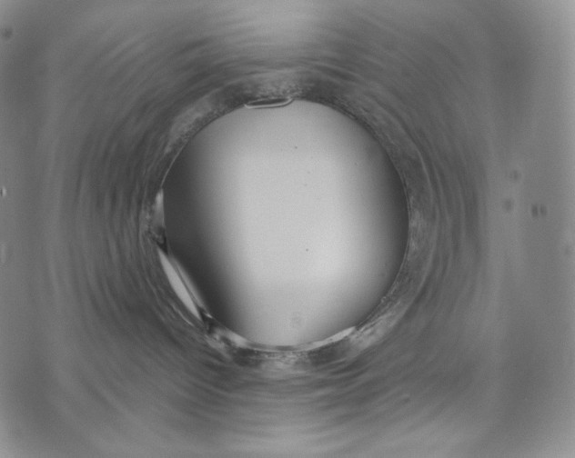 X0000072490096200608041427