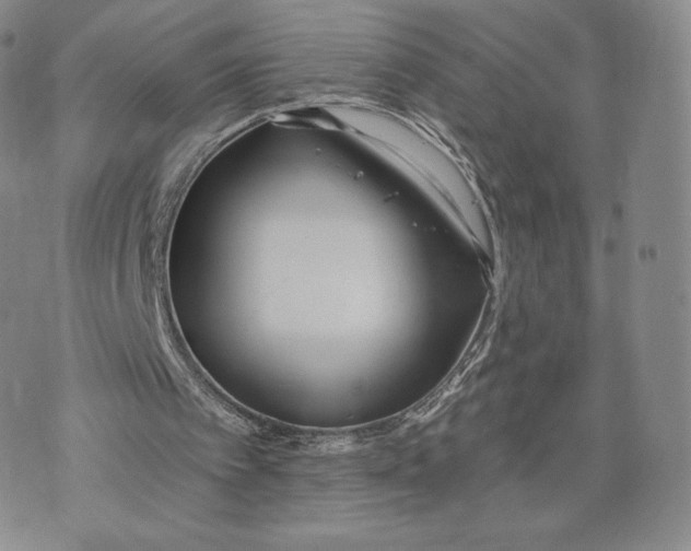 X0000072490097200608041426