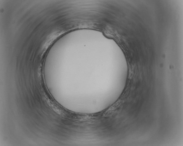 X0000072490098200608041426