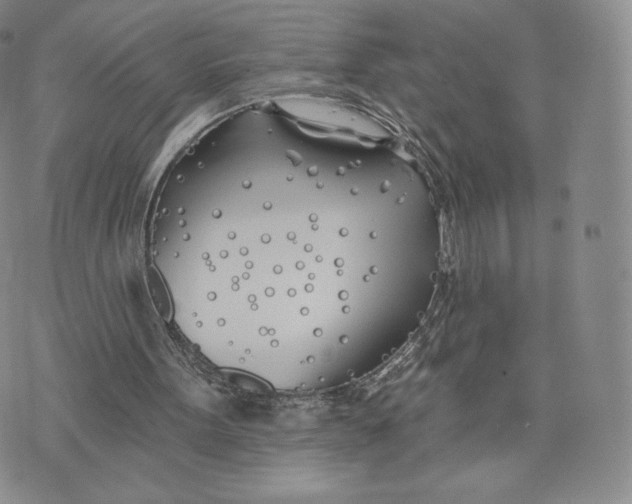 X0000072490099200608041426