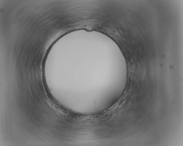 X0000072490100200608041426