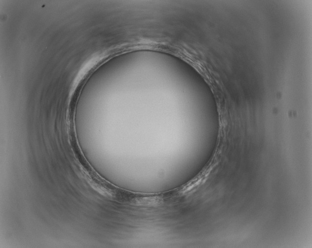 X0000072490102200608041426