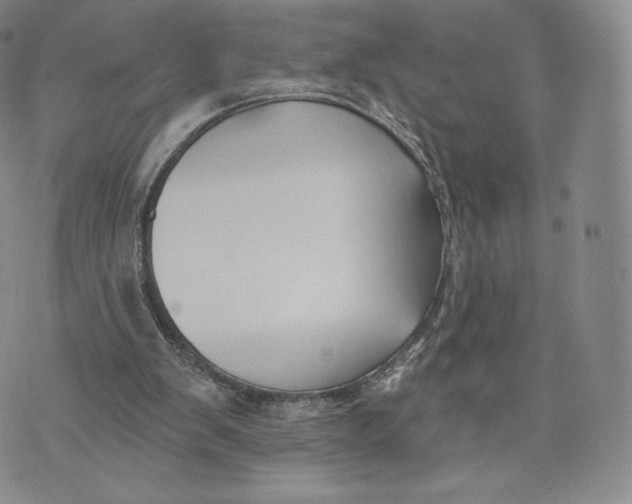 X0000072490103200608041426