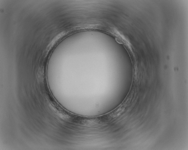 X0000072490107200608041426