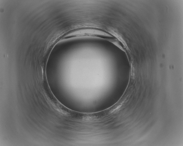 X0000072490109200608041426