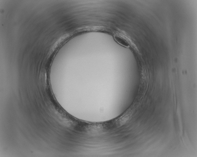 X0000072490110200608041426