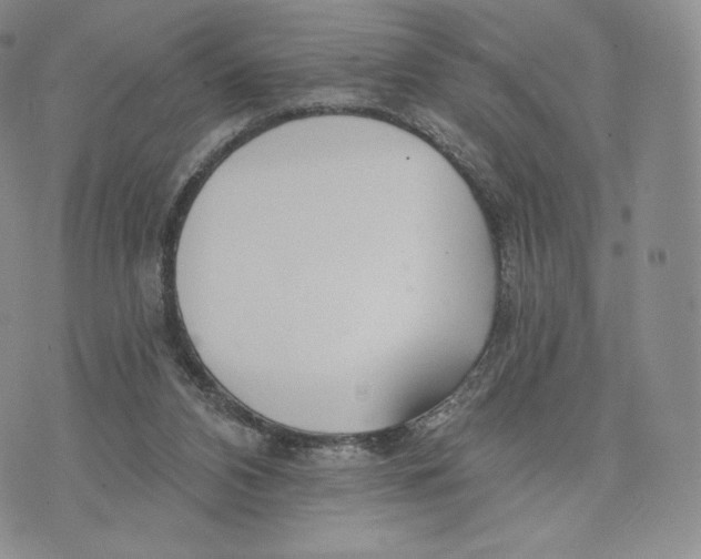 X0000072490112200608041426