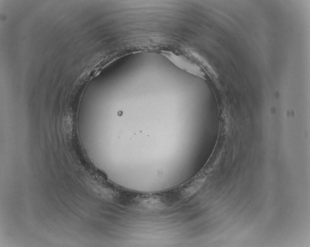 X0000072490113200608041426