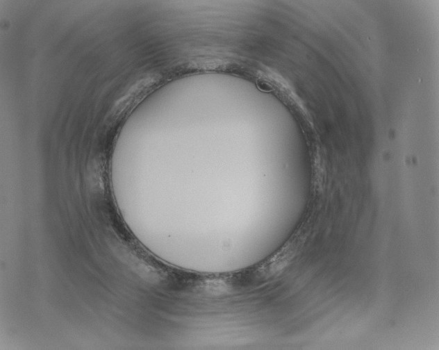 X0000072490114200608041426