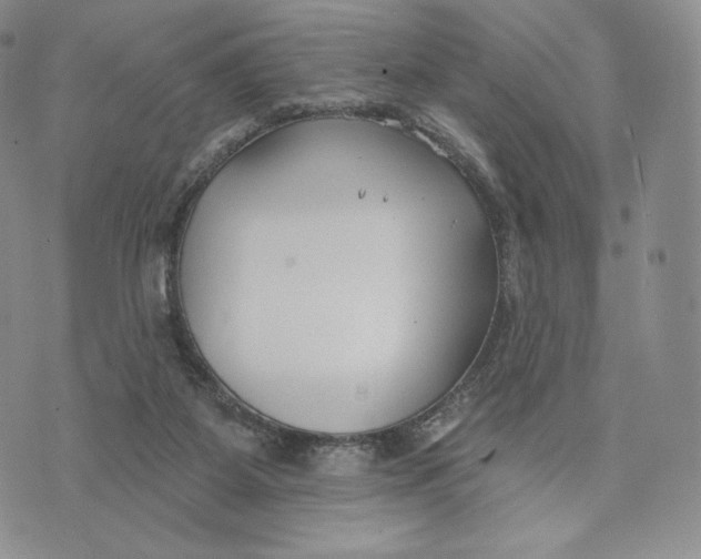 X0000072490115200608041426