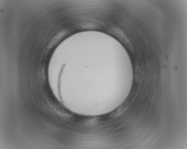 X0000072490116200608041426