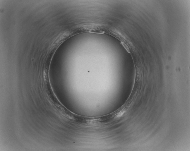 X0000072490117200608041426