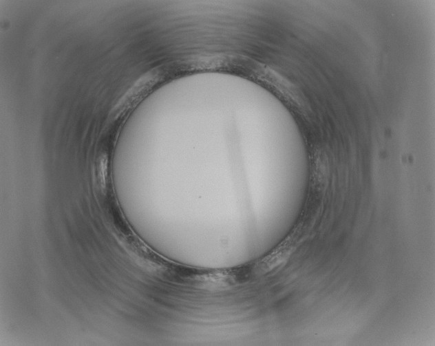 X0000072490118200608041426