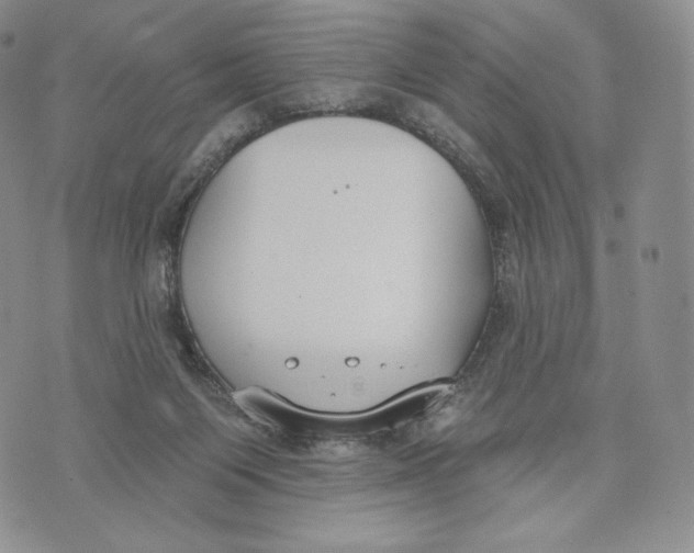 X0000072490119200608041426