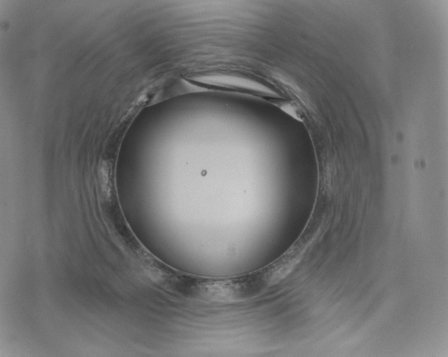 X0000072490121200608041426