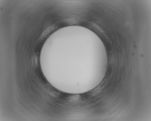 X0000072490124200608041426