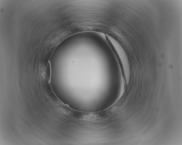 X0000072490125200608041426