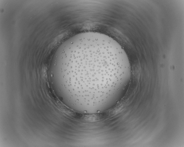 X0000072490127200608041425