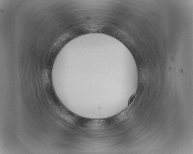 X0000072490128200608041425