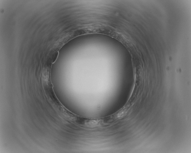 X0000072490129200608041425