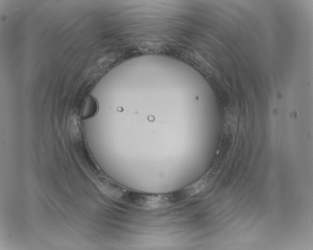 X0000072490130200608041425