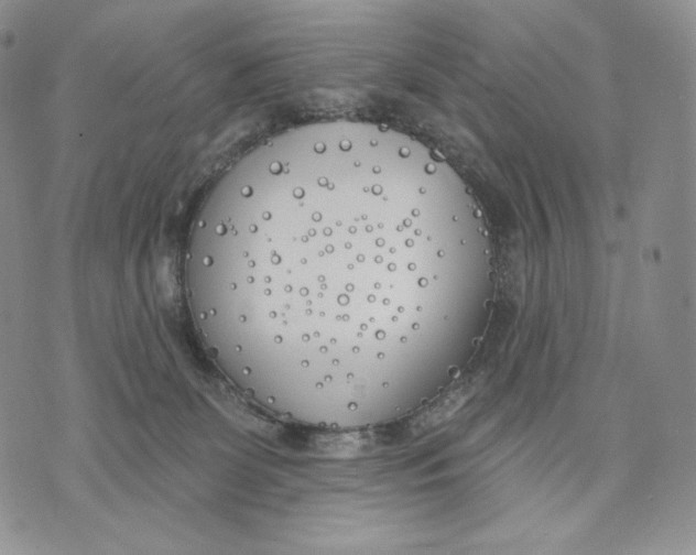 X0000072490131200608041425