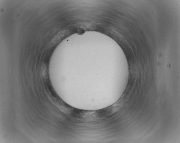 X0000072490132200608041425