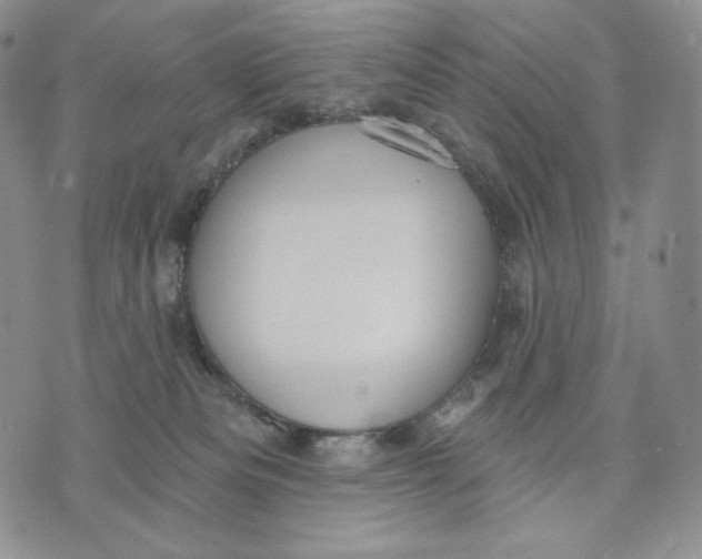 X0000072490133200608041425