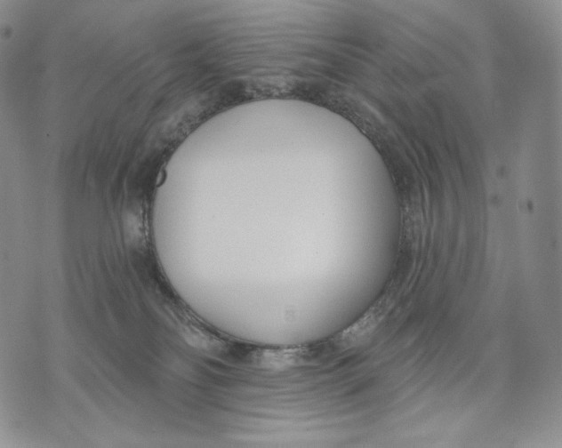 X0000072490134200608041425