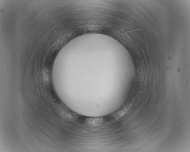 X0000072490135200608041425