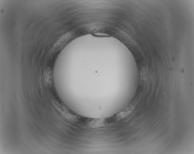 X0000072490138200608041425