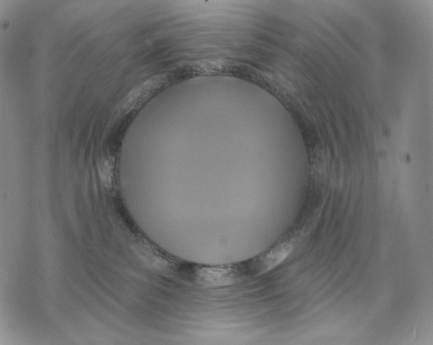 X0000072490139200608041425