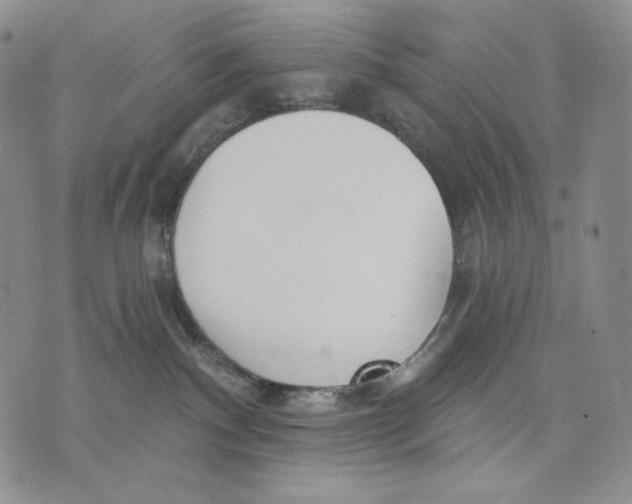 X0000072490140200608041425