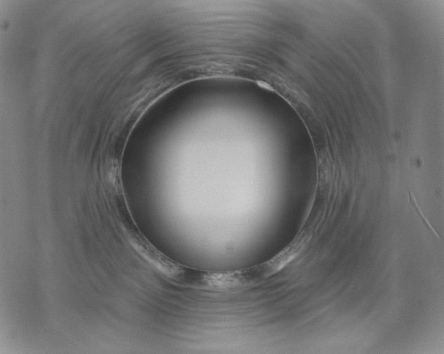 X0000072490141200608041425