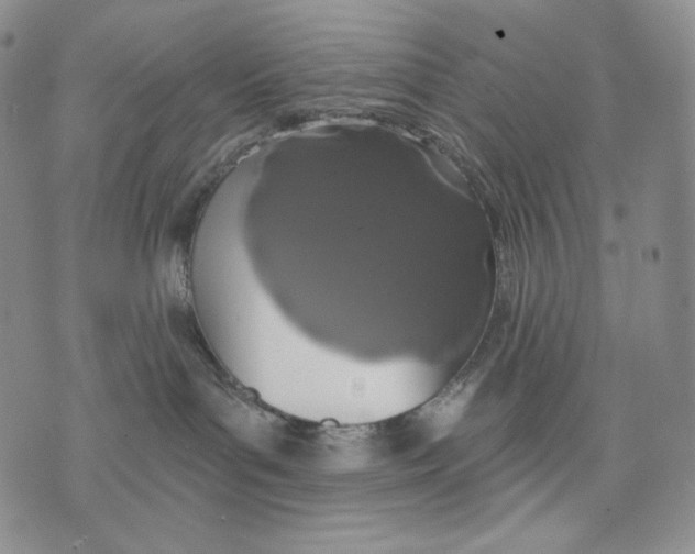 X0000072490143200608041425