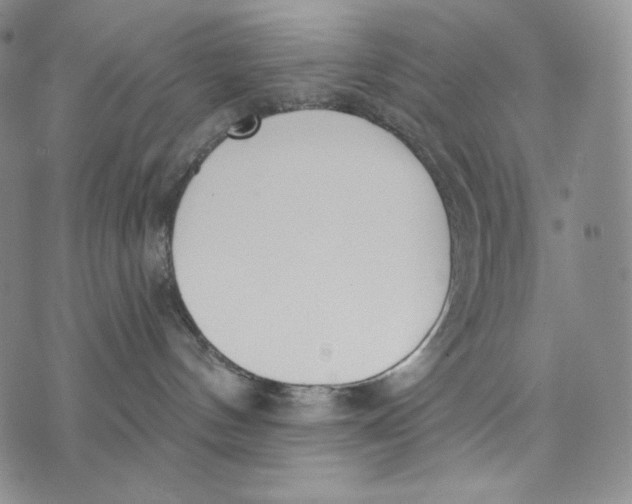 X0000072490144200608041425