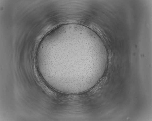 X0000072490145200608041424