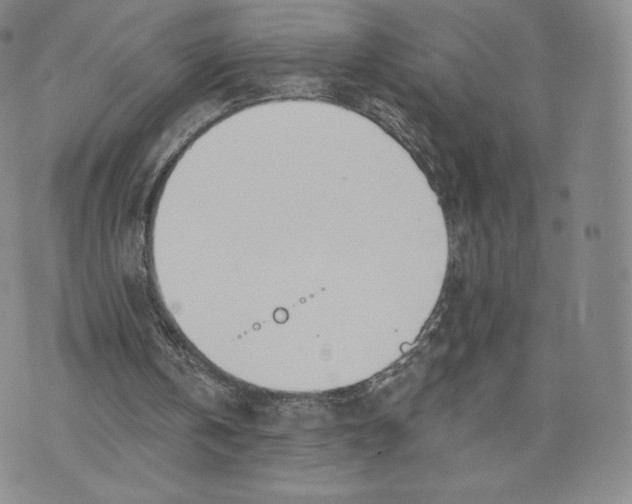 X0000072490146200608041424